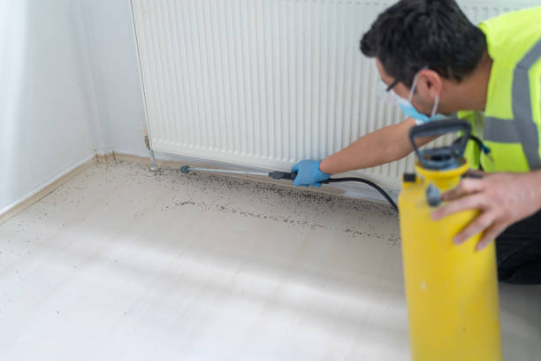Best Best Pest Control Companies  in Wetherington, OH