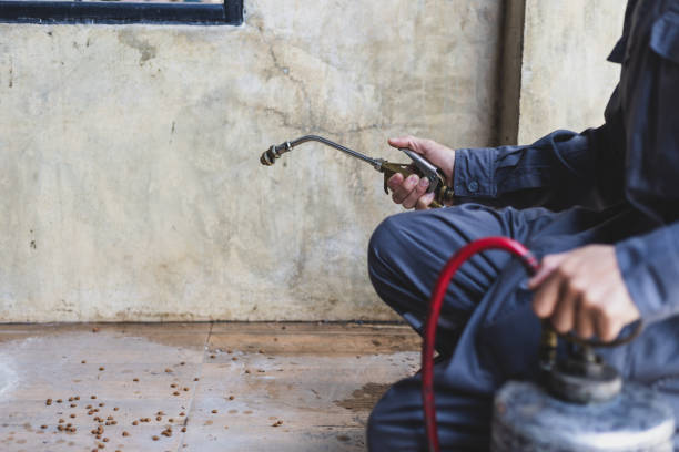 Best Best Pest Control Companies  in Wetherington, OH